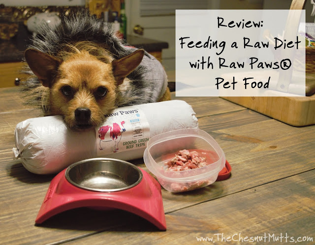 Review: Feeding a Raw Diet with Raw Paws® Pet Food