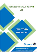 Sweetened Bread Plant Project Report