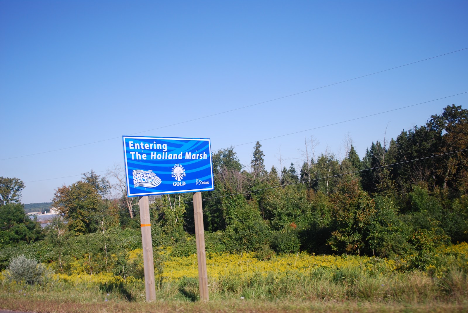 Reflective Thoughts by Barbara THE HOLLAND MARSH ONTARIO