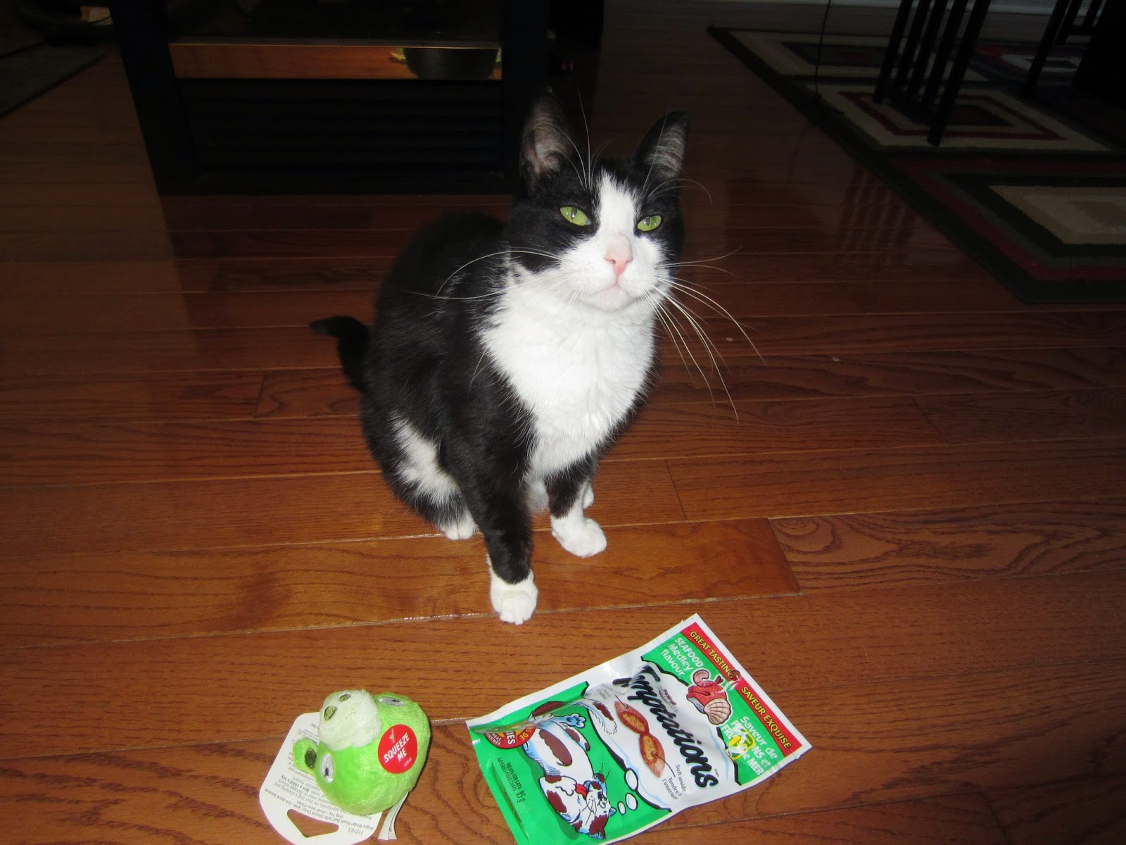 st patricks day gotcha