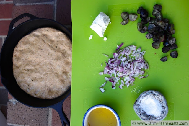 Grapes, Goat cheese and Red Onion with Fennel Focaccia