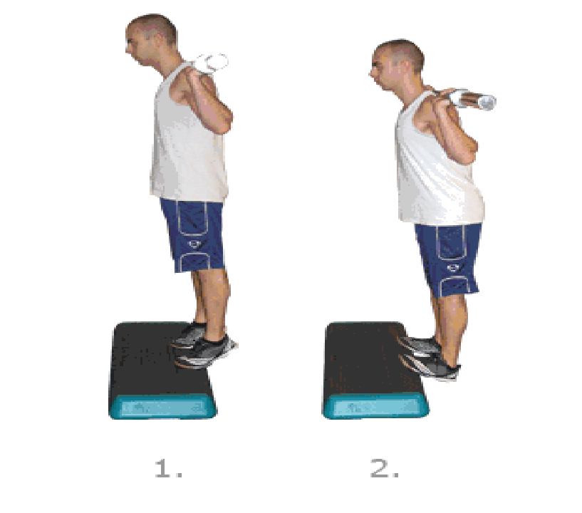 Step Exercises and Fitness Legs Exercises step 4 Standing Barbell