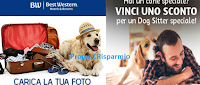Scarica i buoni sconto per Dog Sitter e Hotel Pet-Friendly Logo Scarica i buoni sconto per Dog Sitter e Hotel Pet-Friendly