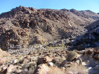 View north from Fortynine Palms Canyon Trail toward the oasis, Joshua Tree National Park