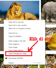 Cara Mencari Gambar Yang Sama Atau Seolah-Olah Di Internet - otak pintar