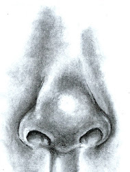 nose drawing draw noses step drawings nostrils secrets shading charcoal eyes getdrawings adding