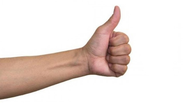 4 Macam Sendi pada Manusia serta Contohnya Obat Sakit 2011