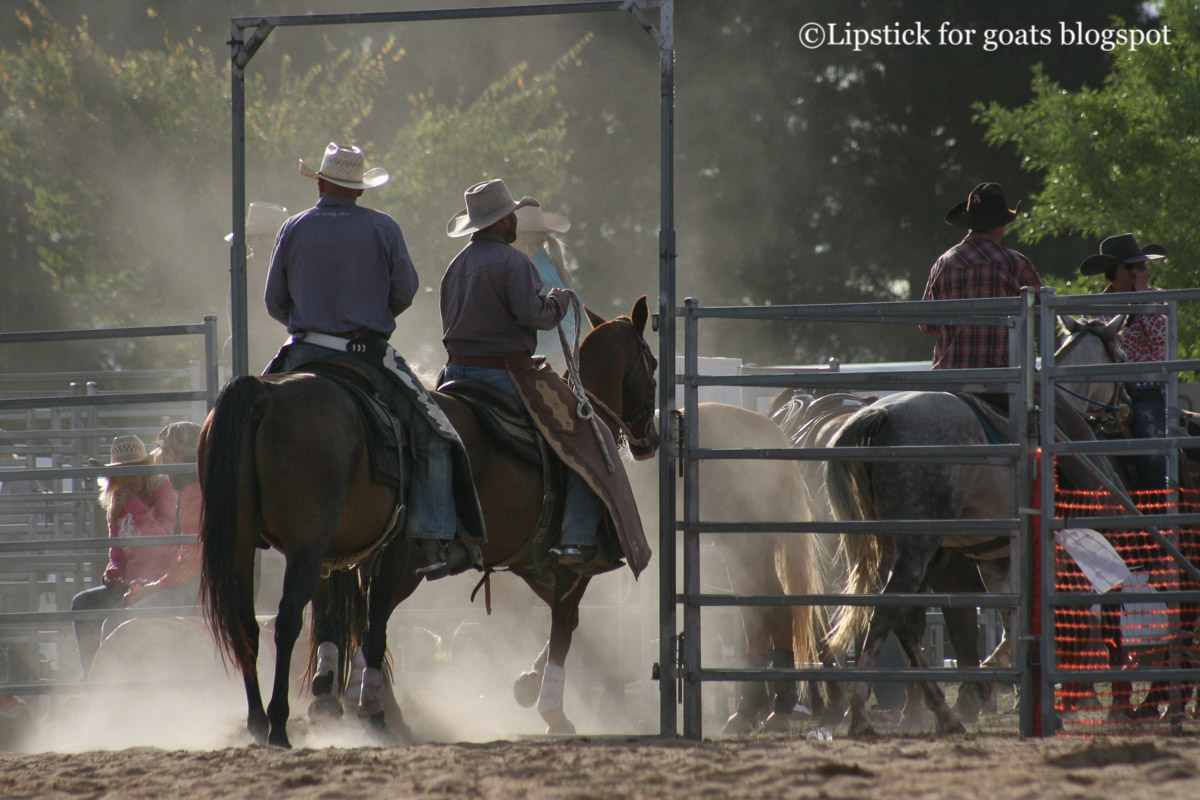 Lipstick for Goats: Braidwood Rodeo - Ride 'em Cowboy!