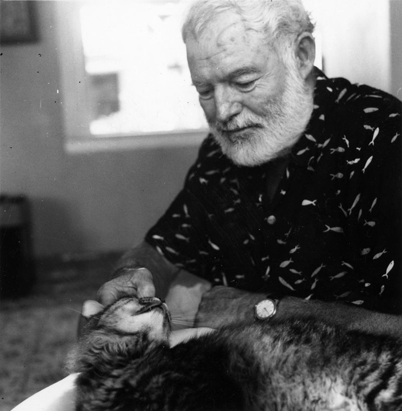 26 Interesting Vintage Photos of Ernest Hemingway With His Beloved Cats