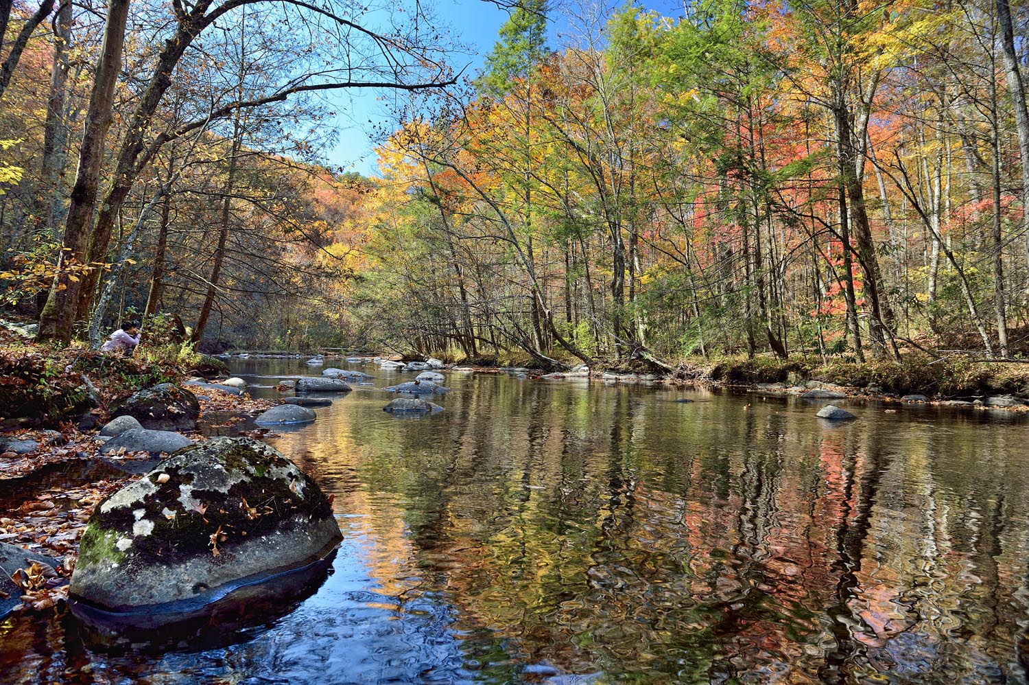 The Amazing Life Little River, Great Smoky Mountains National Park