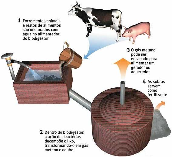 Biodigestores Contínuos e de Batelada: Funcionamento e Vantagens ...