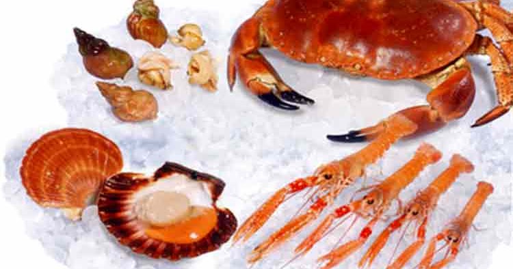 Fruits & Vegetables Benefits: benefits of eating shellfish