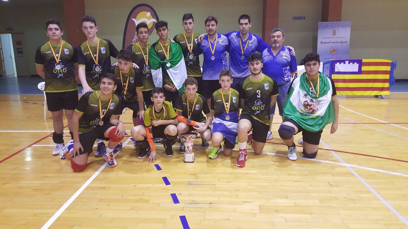 CAMPEONATO DE ESPAÑA DE VOLEIBOL. (Categoría