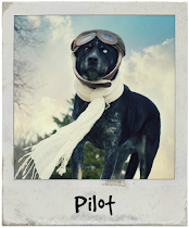 My Dog, Pilot