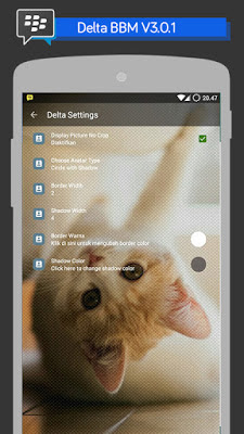 Delta BBM Android V2.11.0.18 Apk