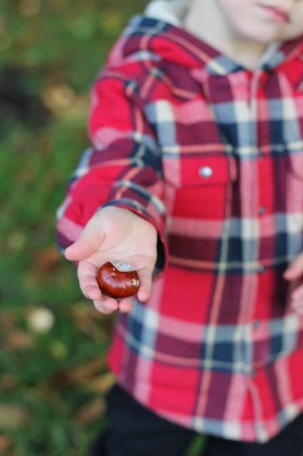 toddler and conker