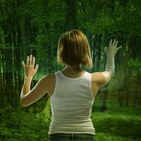 [2005] - The Art Of Breaking