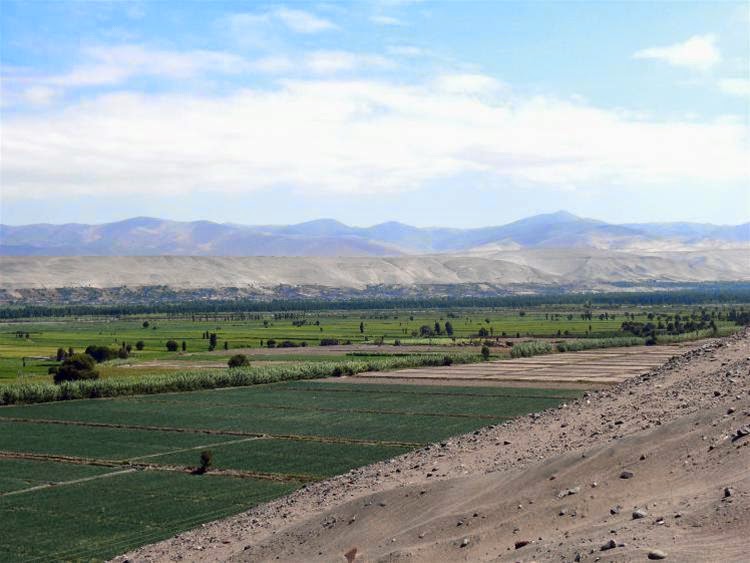Un site funéraire d'une culture inconnue découvert au Pérou