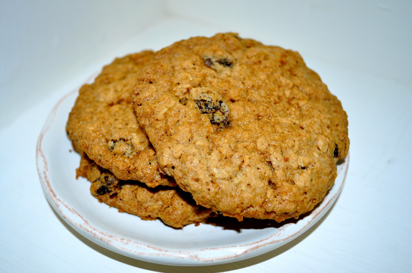 Classical Homemaking Oatmeal Raisin Cookies SortaSubway® Series