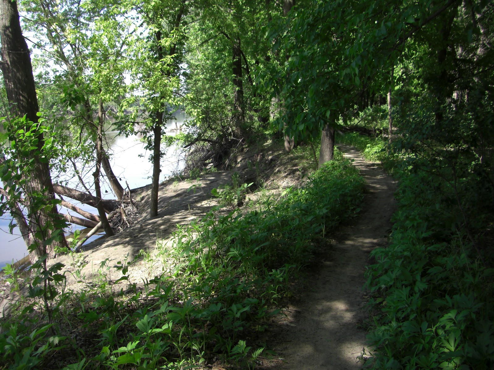 MN Bike Trail Navigator Trail Photo Gallery Minnesota River Bottoms (35W Bridge to Bloomington