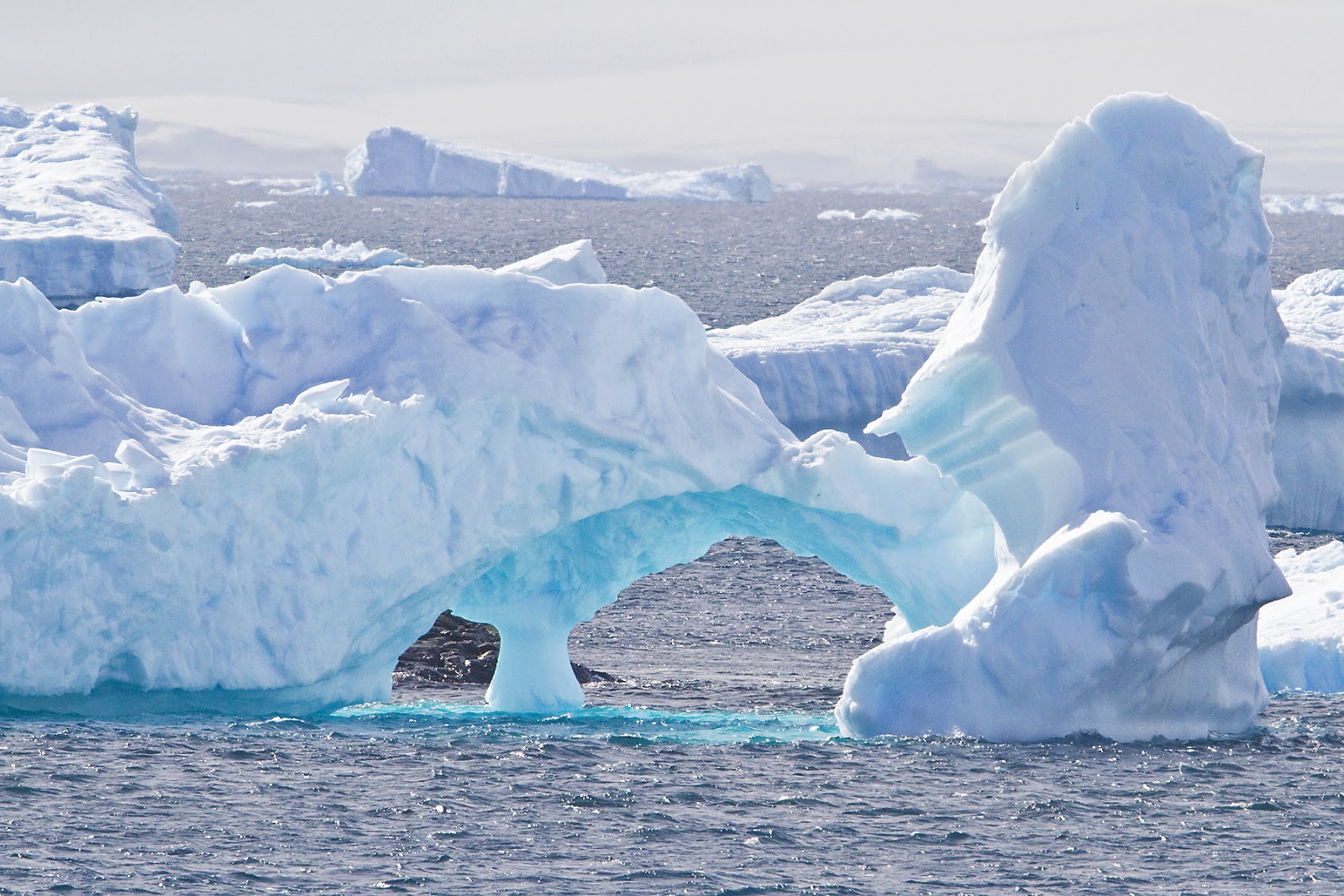 Антарктида материк пингвины. Ледяной покров антарктиды. Южный полюс антарктида. Антарктида картинки. Реки северного полюса.