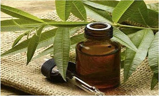 cara menghilangkan bekas jerawat dengan bahan alami cara menghilangkan bekas jerawat dengan bahan alami