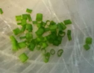 in the dehydrator growing green onions, frugal living tip, dehydrating chives