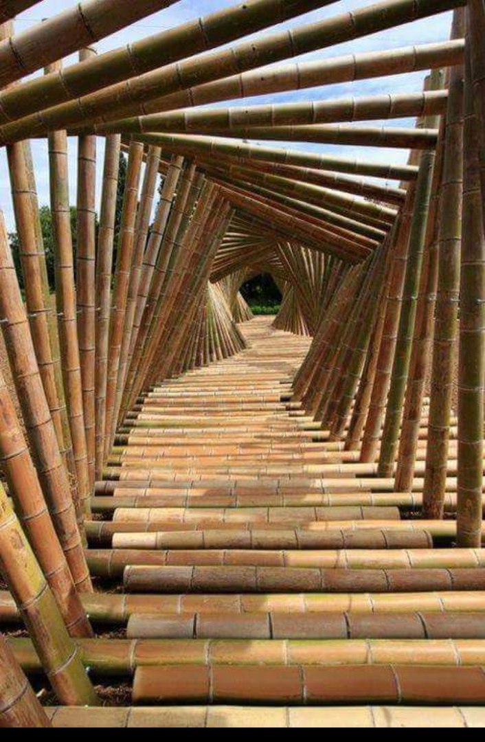 Why Bamboo Is More Stronger Than Steel Reinforcement? | Engineering