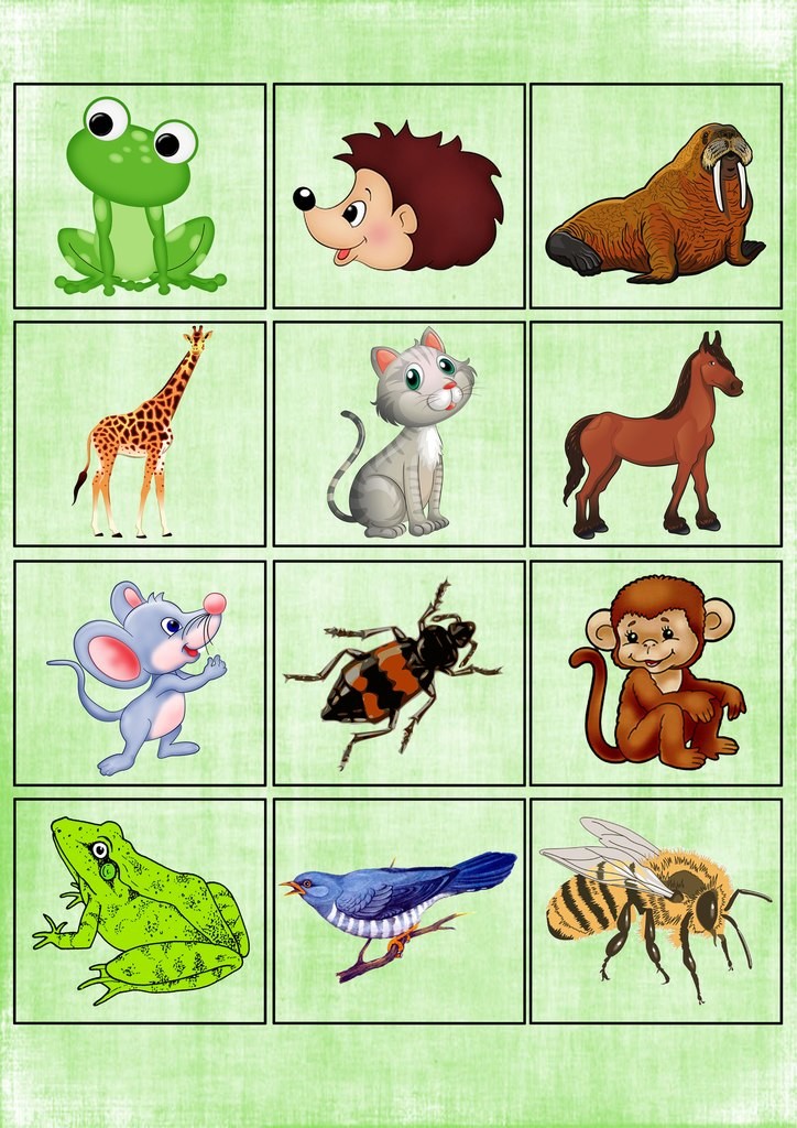 Игра живые звуки. Карточки с картинками для детей. Изображения животных для дошкольников. Карточки для дошкольников в картинках. Карточки с животными для малышей.