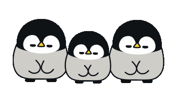 Baby of a Gentle Penguin 3
