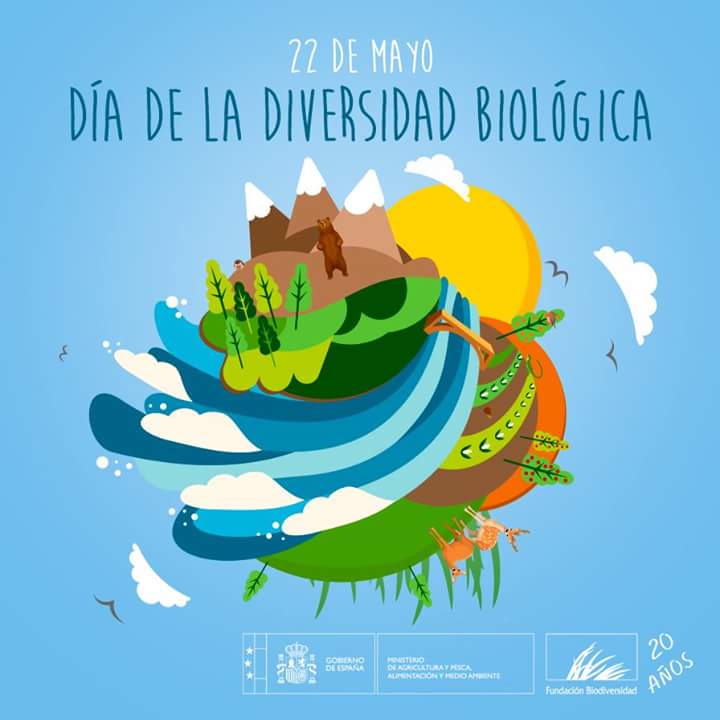 EL RINCÓN DE IREOL 22 DE