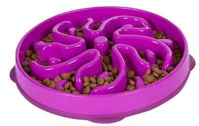 Slow feeder pet bowl