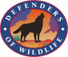 Defenders org. Σταματειστε να δολοφονείτε την ζωή γύρω μας! Δεν είναι ιδιοκτησία σας!!!!!