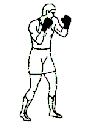 Stance: Boxing | Musabetsu Kakutō Ryū