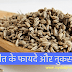 अजवाइन के फायदे -Benefit Of Carom Seeds