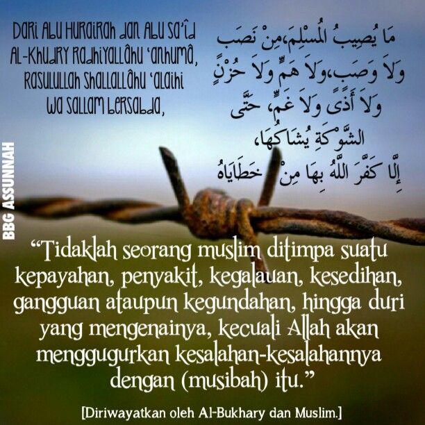 Sakit Tak Kunjung Sembuh, Warga Banyuwangi Akhiri Hidupnya dengan Menelan Petasan Sakit Tak Kunjung Sembuh, Warga Banyuwangi Akhiri Hidupnya dengan Menelan Petasan