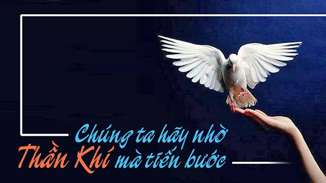 Tội phạm đến Chúa Thánh Thần là tội nào? Tội phạm đến Chúa Thánh Thần là tội nào?