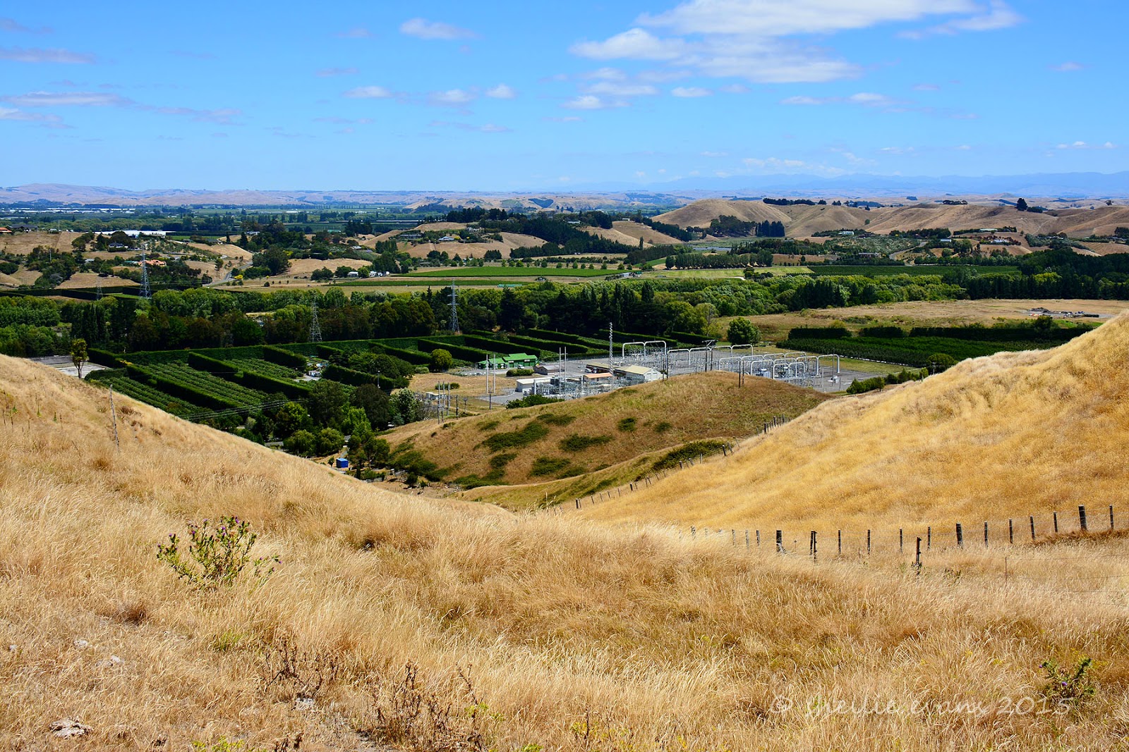 Two Go Tiki Touring Otatara Pa, Taradale