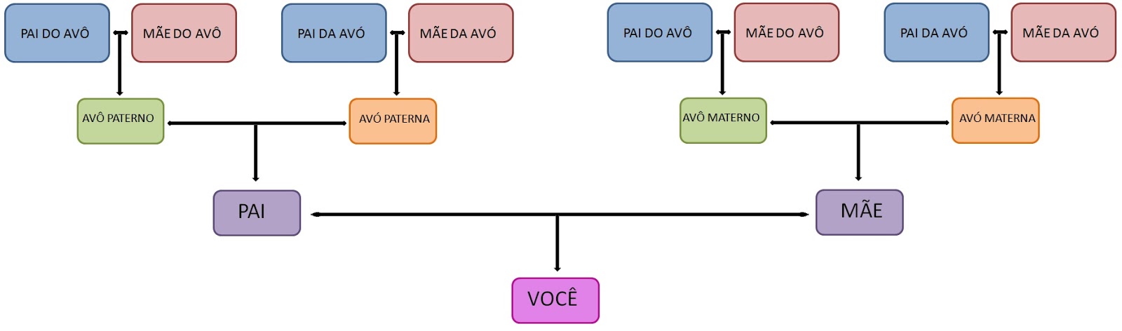 arvore genealogica