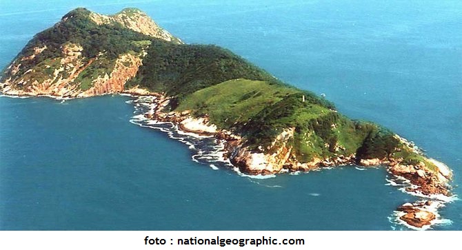 Fakta Mengejutkan Tentang Pulau Ular - Kumpulan Artikel Unik Dan Menarik