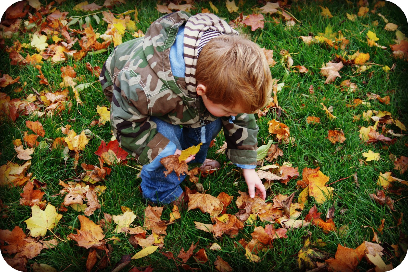 Собрать осенние листья. Мальчик в осенних листьях. Дети собирают осенние листья. Collecting leaves для детей. Люди собирают осенние листья.