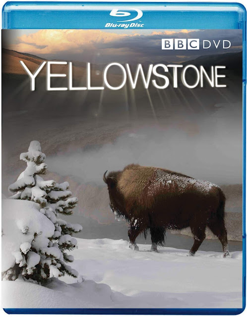 BBC|6GB|Yellowstone|FullHD 1080p|3/3|MEGA|Taykun7000