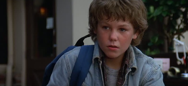 El señor de los bloguiños ¡Liberad a Willy! (1993) de Simon Wincer