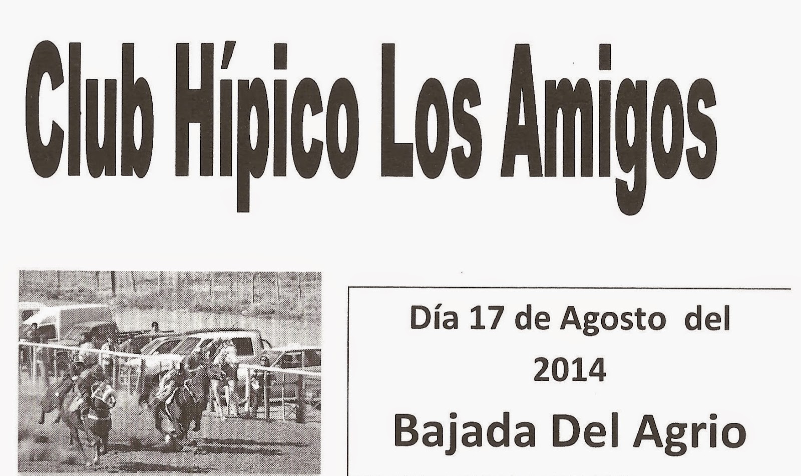 http://turfdelapatagonia.blogspot.com.ar/2014/08/1708-rograma-de-carreras-de-caballos-en.html