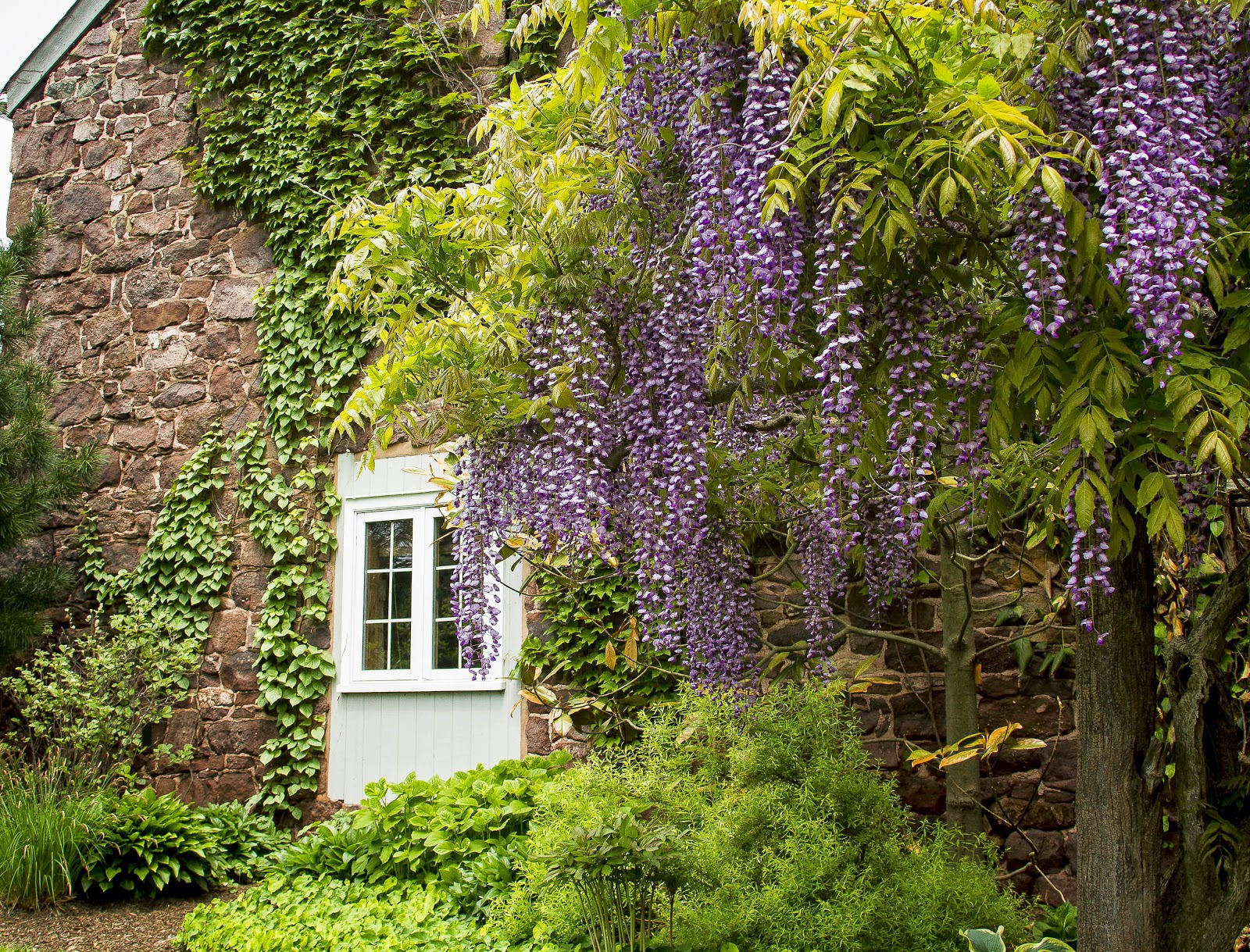 Gone Gardening Willowood Arboretum