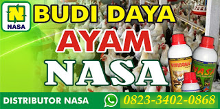 AGEN NASA DI Kutambaru, Langkat - TELF 082334020868