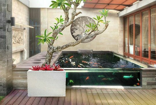 Kolam minimalis dengan kaca dan air terjun - tukang kolam koi di