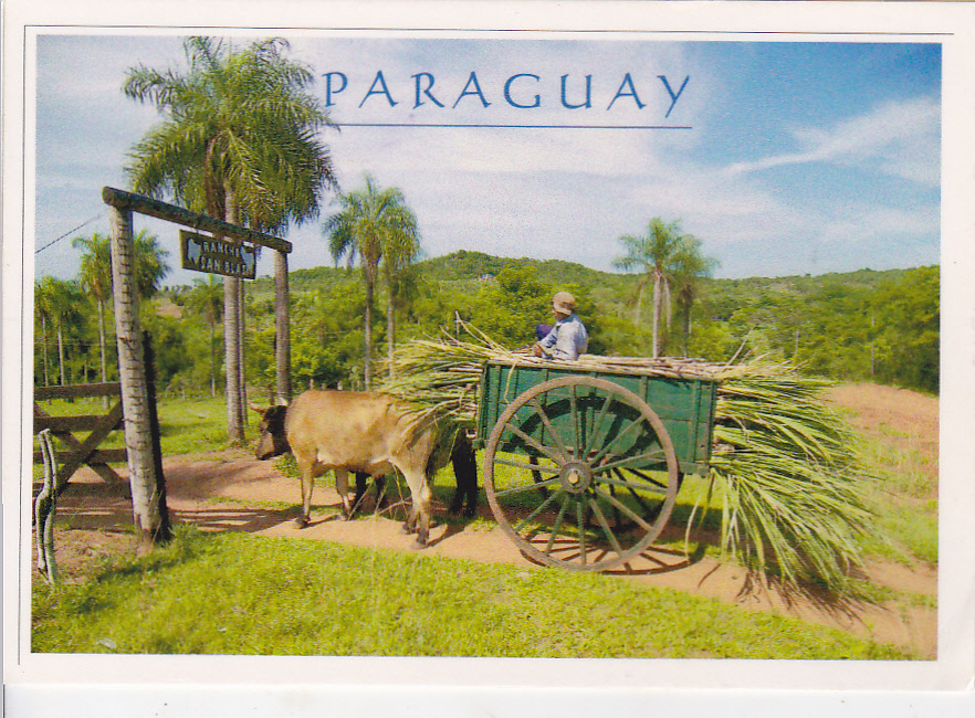 Postcard A La Carte Paraguay Farmer