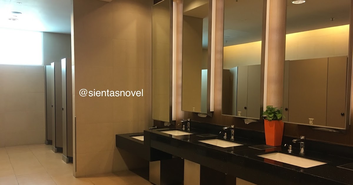 SINGAPORE Toilet Di Changi Airport!