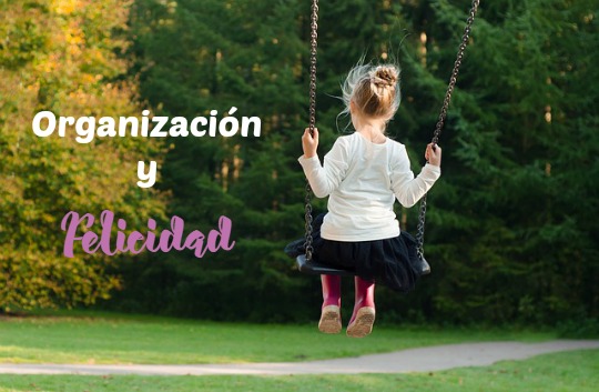 La Felicidad y la Organización